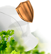 Соблюдаем чистоту