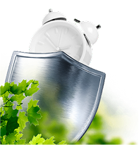 Без задержек