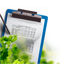 Фиксируем цену