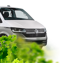 Сами закупаем